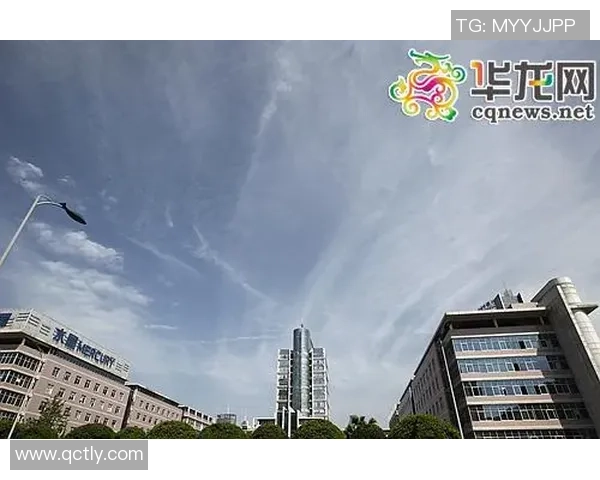 重庆飞盘队的反击革新之路探索与未来展望