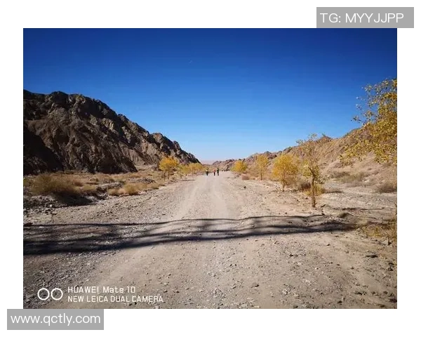 陈秀英的和平精英之路:从新手到职业选手的成长与挑战